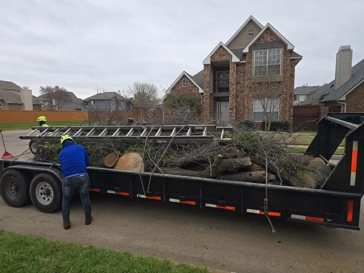 Expert Tree Removal with proper safety equipment in Northbrook